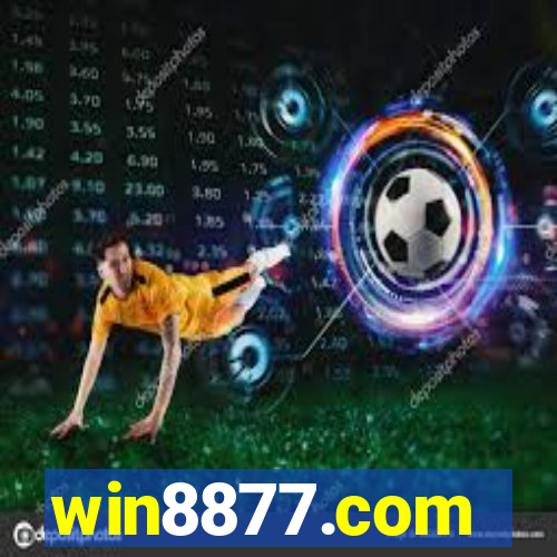 win8877.com