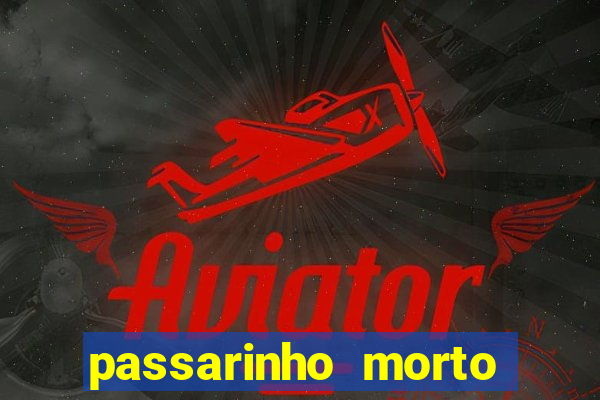 passarinho morto significado espiritual