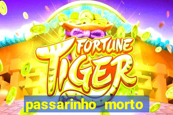 passarinho morto significado espiritual