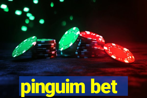pinguim bet