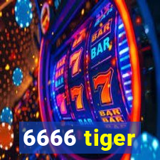 6666 tiger