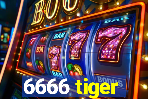 6666 tiger
