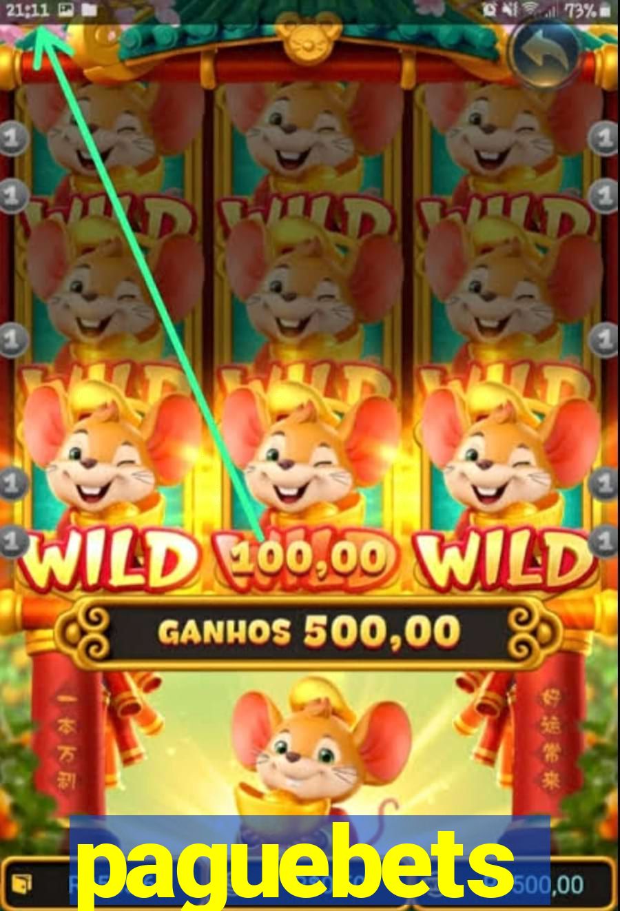 paguebets
