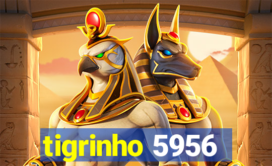 tigrinho 5956