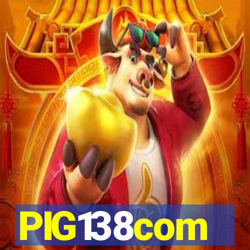 PIG138com