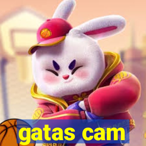 gatas cam