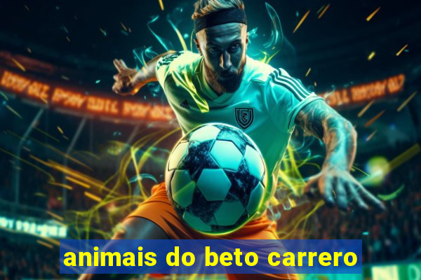 animais do beto carrero