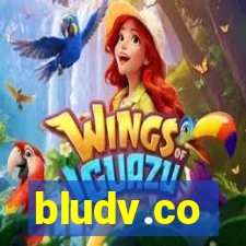 bludv.co