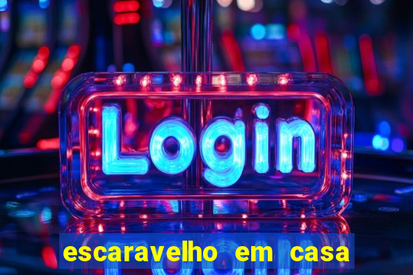 escaravelho em casa significado espiritual