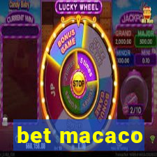 bet macaco