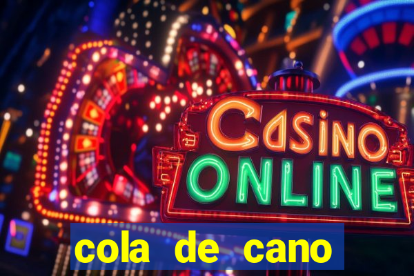 cola de cano quanto tempo para secar