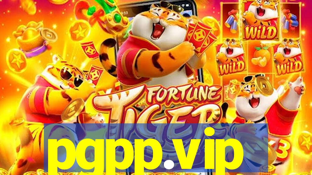 pgpp.vip