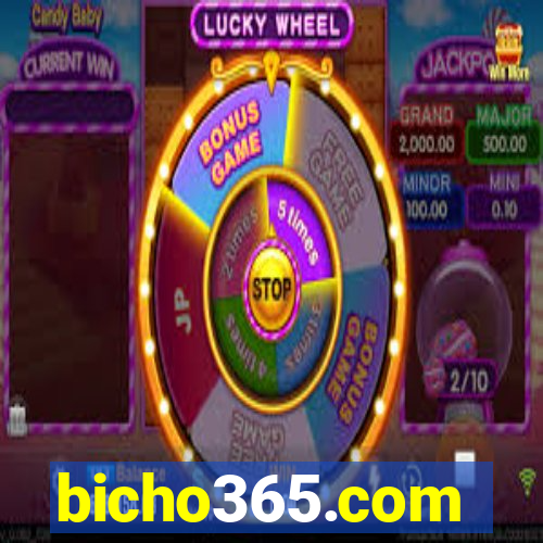 bicho365.com