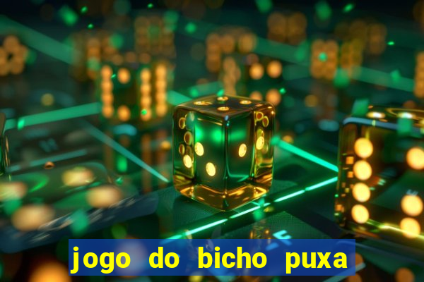 jogo do bicho puxa de dona maria