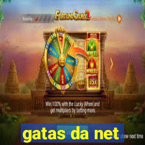 gatas da net