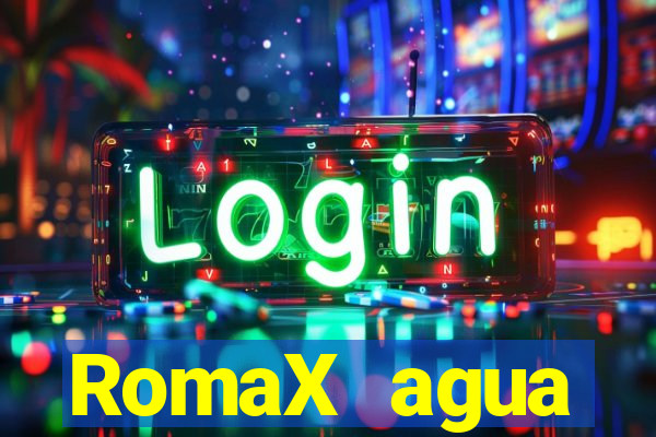 RomaX agua sanitaria fispq agua sanitaria romax