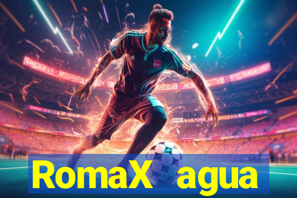 RomaX agua sanitaria fispq agua sanitaria romax