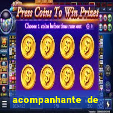 acompanhante de luxo porto feliz