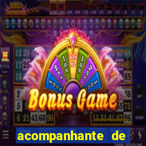 acompanhante de luxo porto feliz