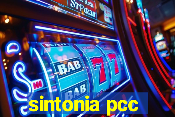 sintonia pcc