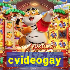 cvideogay