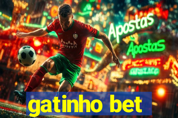 gatinho bet