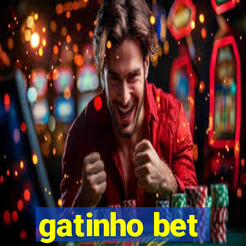 gatinho bet