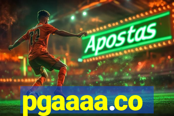 pgaaaa.co