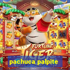 pachuca palpite