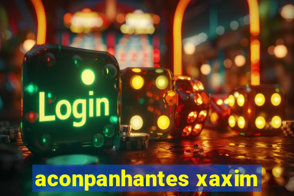 aconpanhantes xaxim