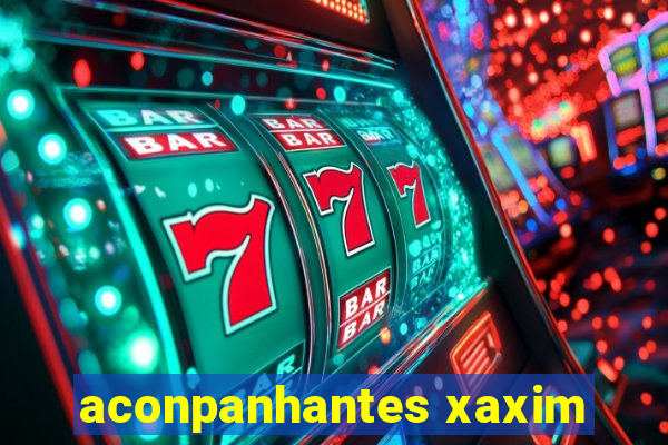 aconpanhantes xaxim