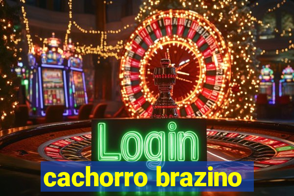 cachorro brazino