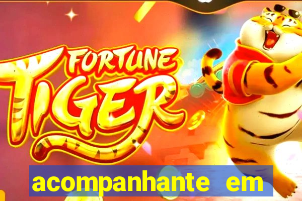 acompanhante em porto seguro