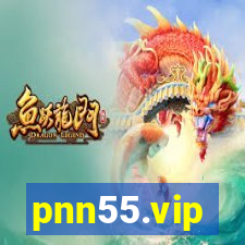 pnn55.vip
