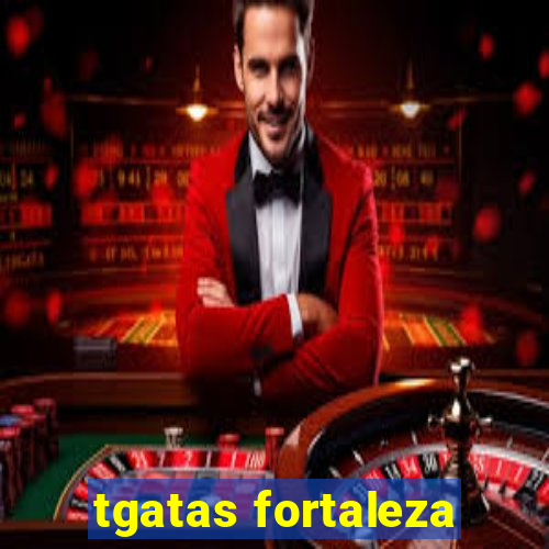 tgatas fortaleza