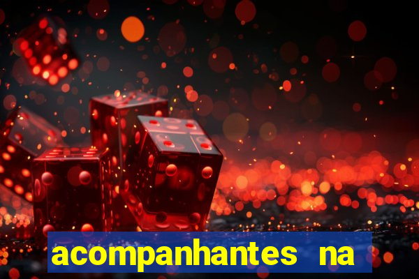 acompanhantes na vila nova cachoeirinha sp
