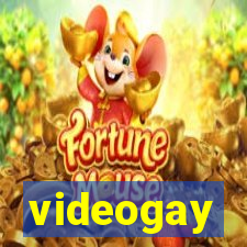 videogay