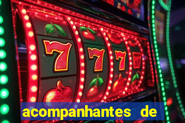 acompanhantes de feira de santana