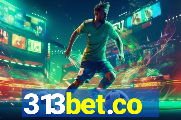 313bet.co