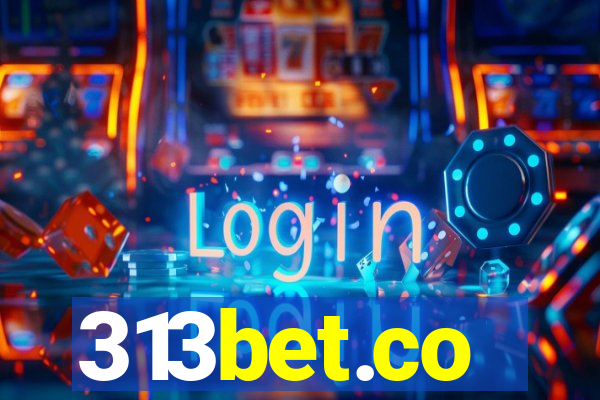 313bet.co