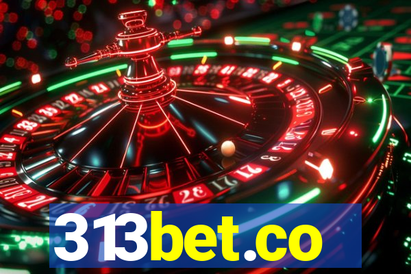 313bet.co