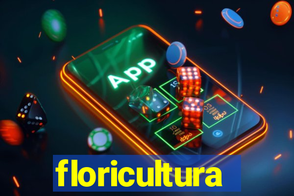 floricultura juazeiro bahia