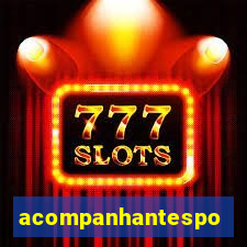 acompanhantesportovelho
