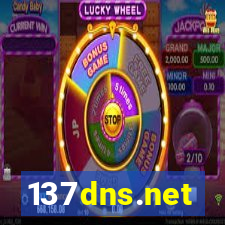 137dns.net