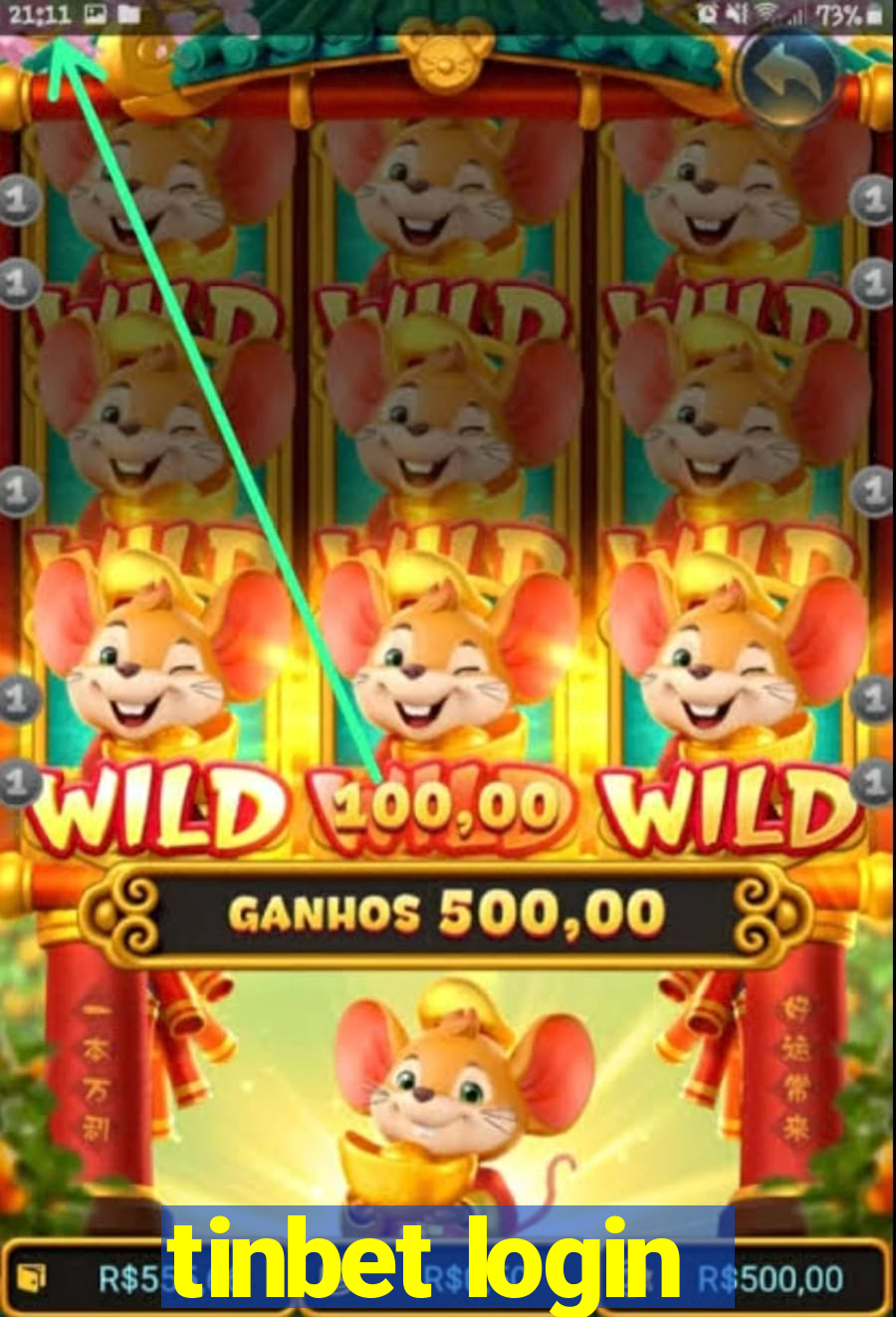 tinbet login
