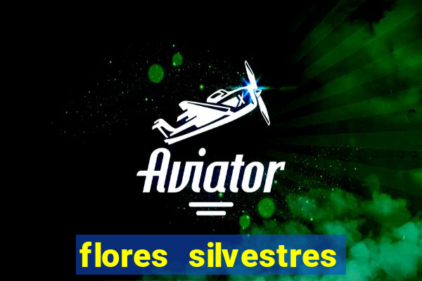 flores silvestres desbravadores desbravadores 25