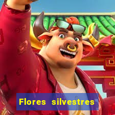 Flores silvestres brasileiras brasileiras flores silvestres nomes e imagens