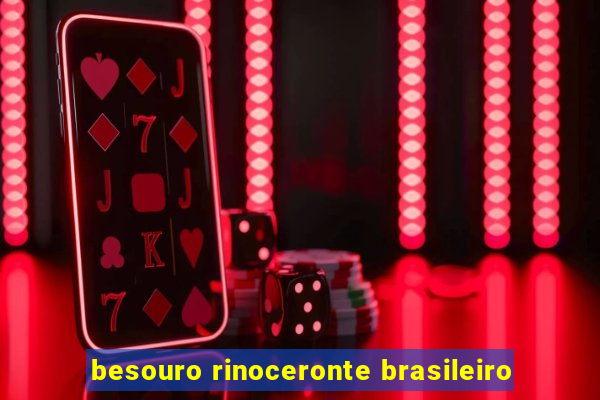 besouro rinoceronte brasileiro