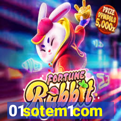 01sotem1com