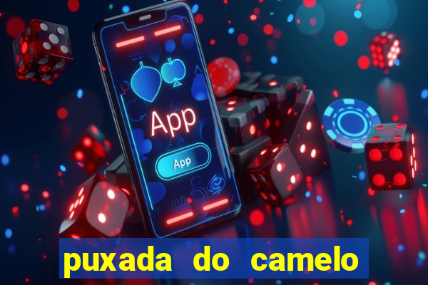 puxada do camelo no jogo do bicho